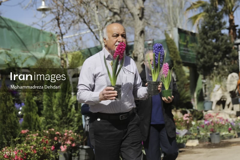 Qasr Aldasht flower market, Shiraz