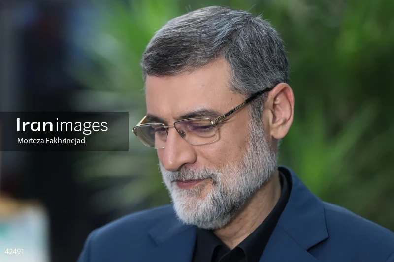 Seyed Amir-Hossein Ghazizadeh Hashemi on the Special News Talk Show on the News Network