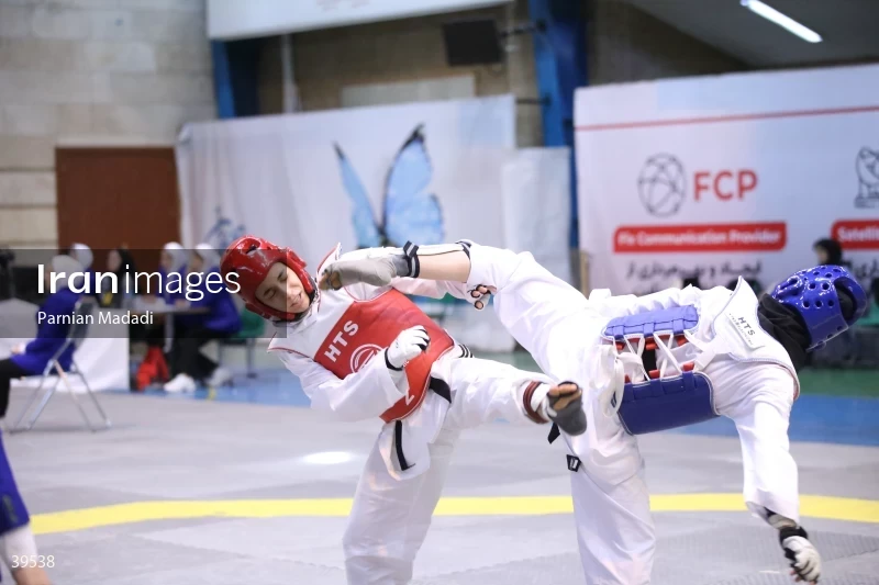Women's Premier Taekwondo League