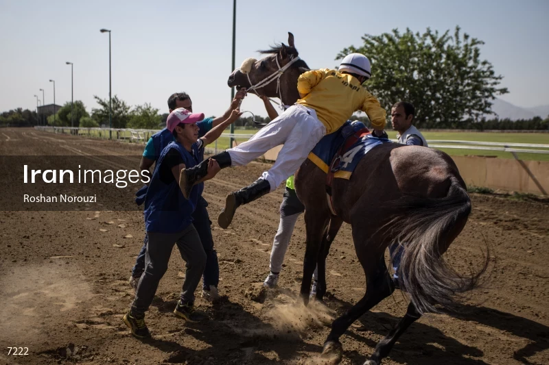 Tehran Horse Riding Summer Event
