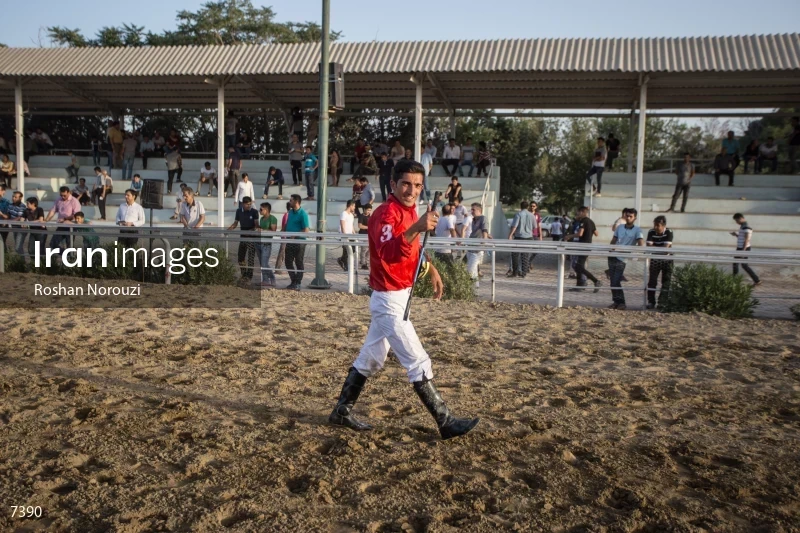 Tehran Horse Riding Summer Event