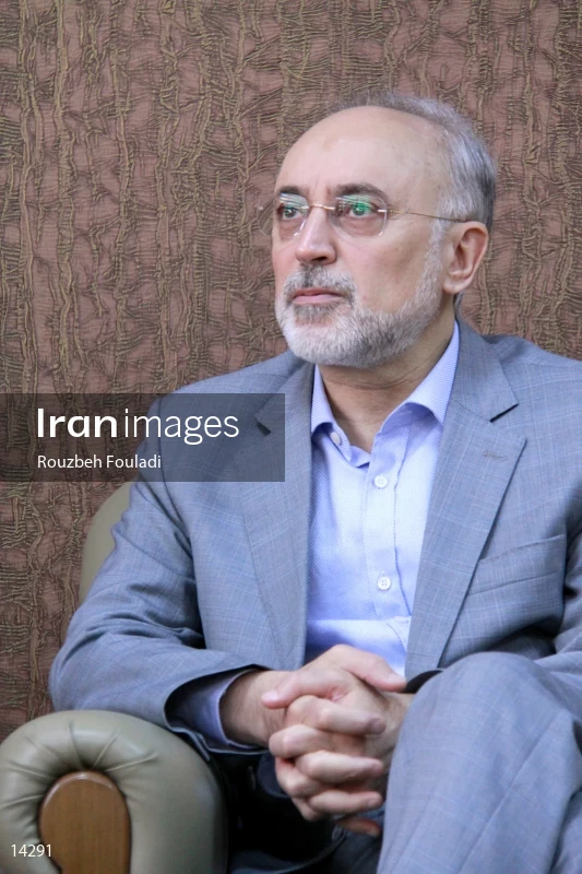 Ali Akbar Salehi