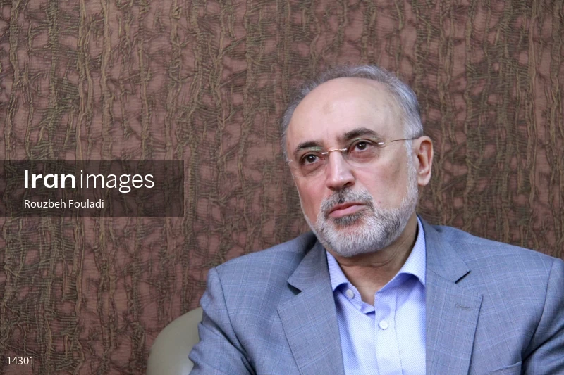 Ali Akbar Salehi