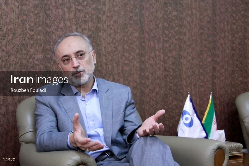Ali Akbar Salehi