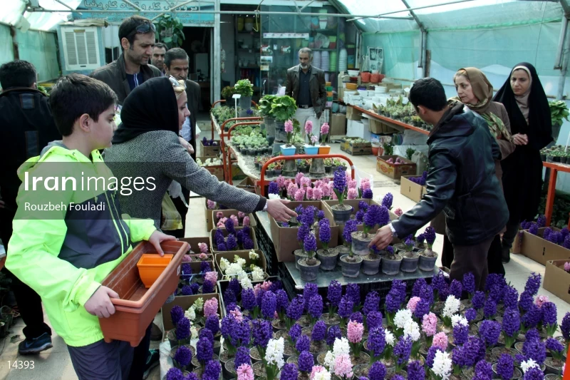 Tehran Flower Market