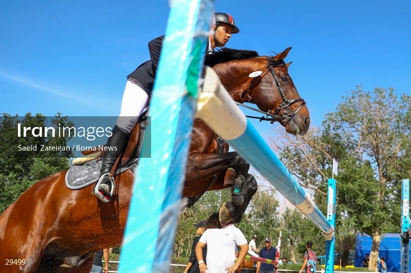 Armos Cup international horse jumping competition
