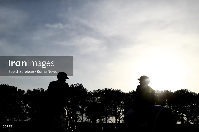 Armos Cup international horse jumping competition