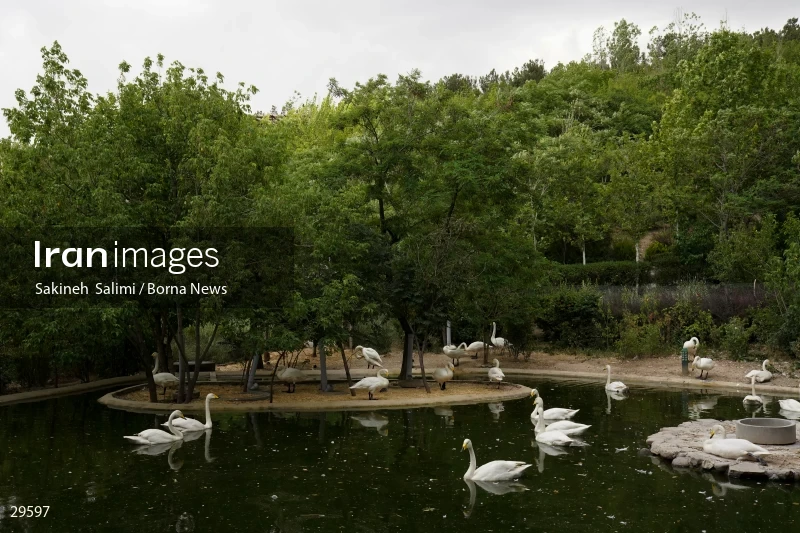 Tehran Birds Garden
