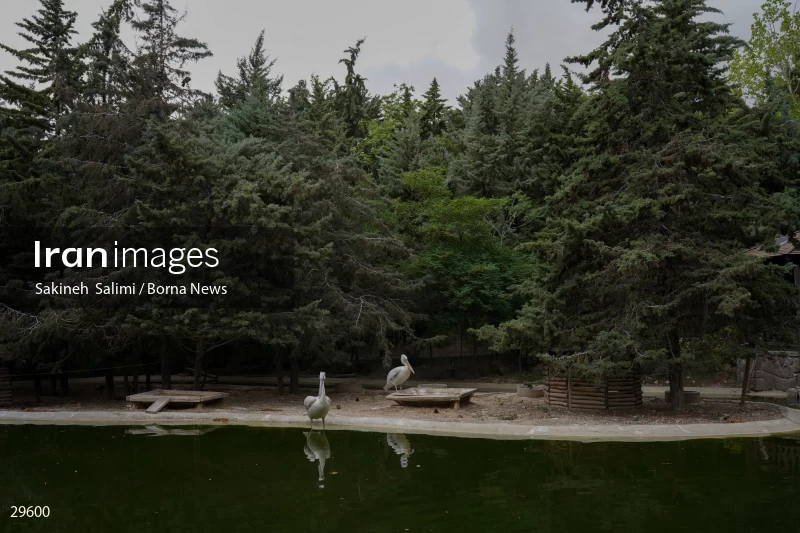 Tehran Birds Garden