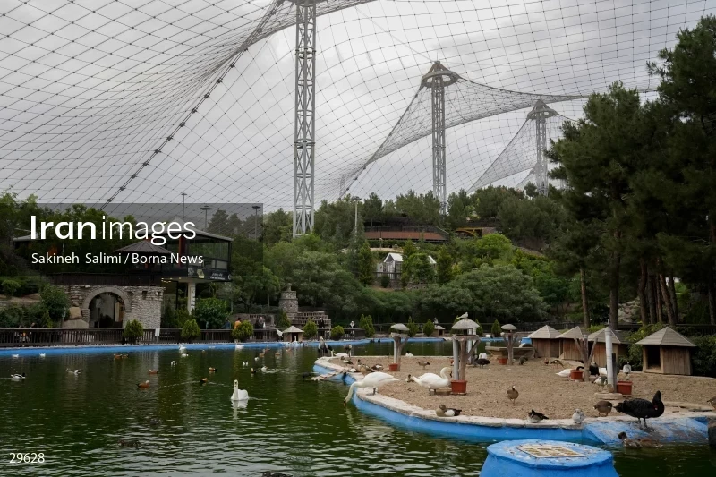 Tehran Birds Garden