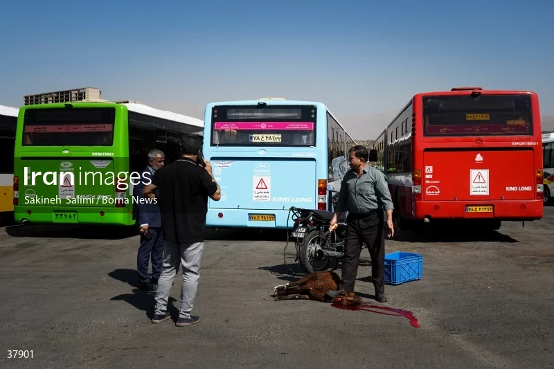 Implementation of the plan for renovating and reconstructing public transportation fleets