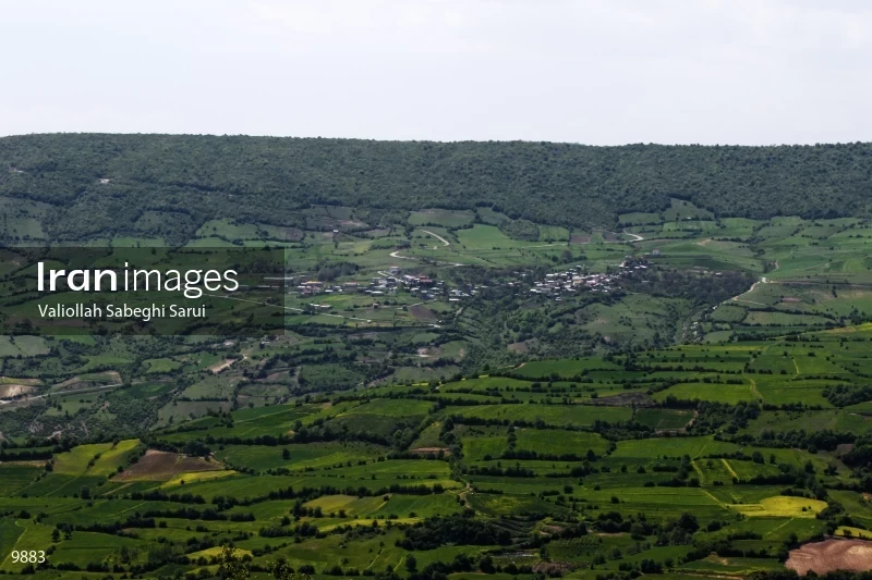 Hezarjarib District in Mazandaran
